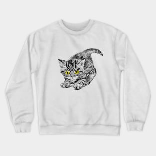 Cute kitten Crewneck Sweatshirt